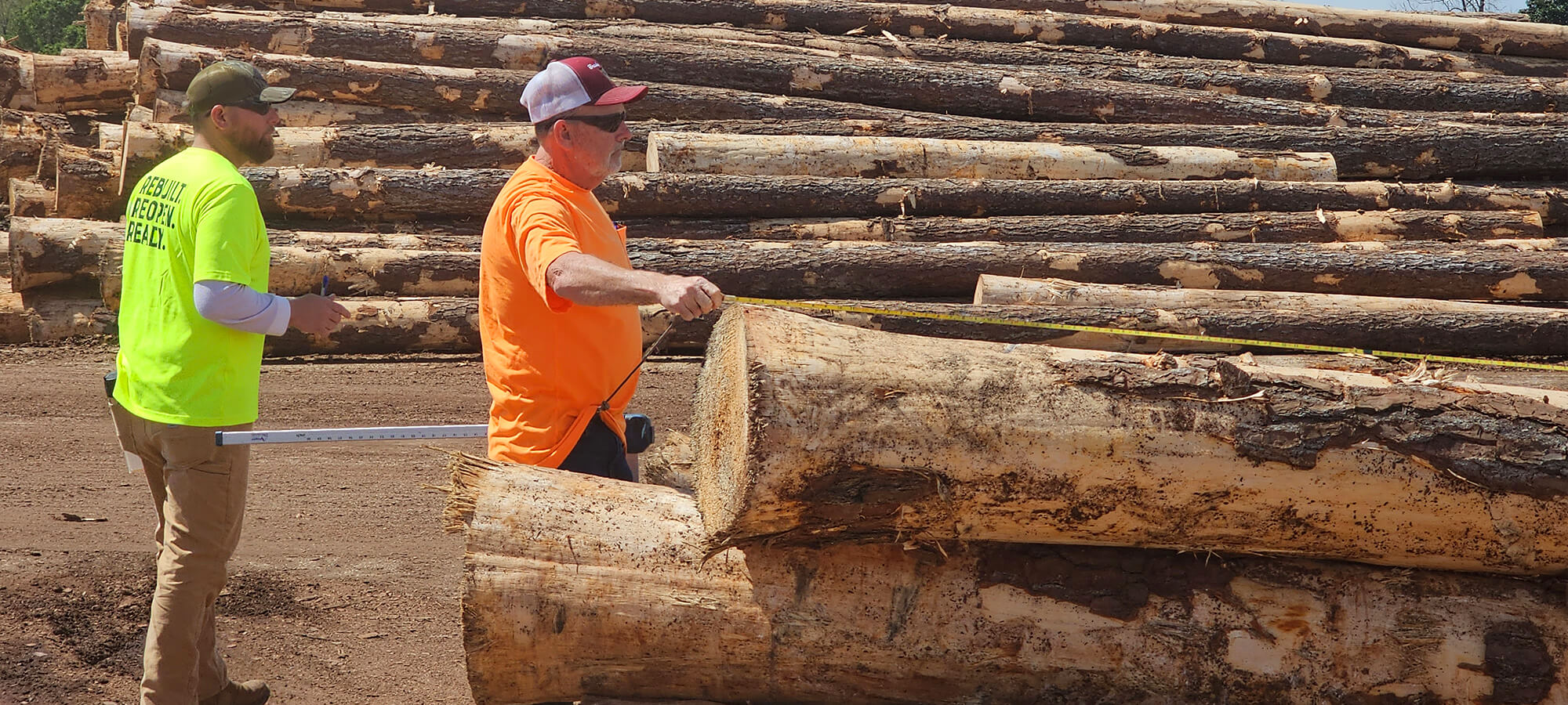 Scotch Plywood Land Management